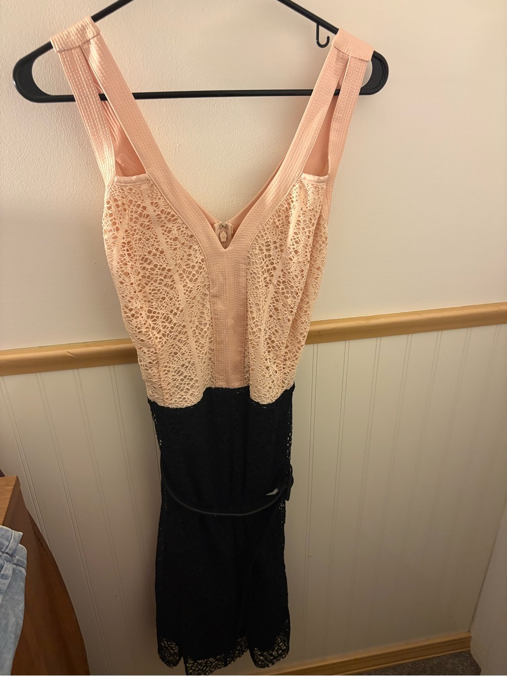 Isabel Toledo Lane Bryant Dress 14 Blush Pink Black Lace Colorblock Sheath